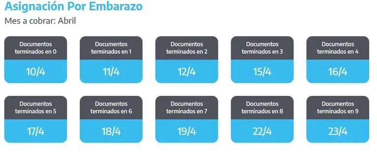 (Foto: Captura / ANSES)