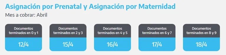 (Foto: Captura / ANSES)