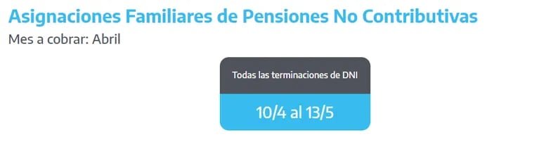 (Foto: Captura / ANSES)