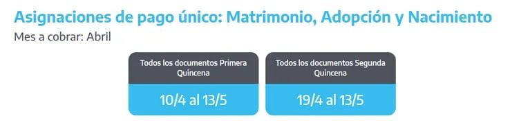 (Foto: Captura / ANSES)