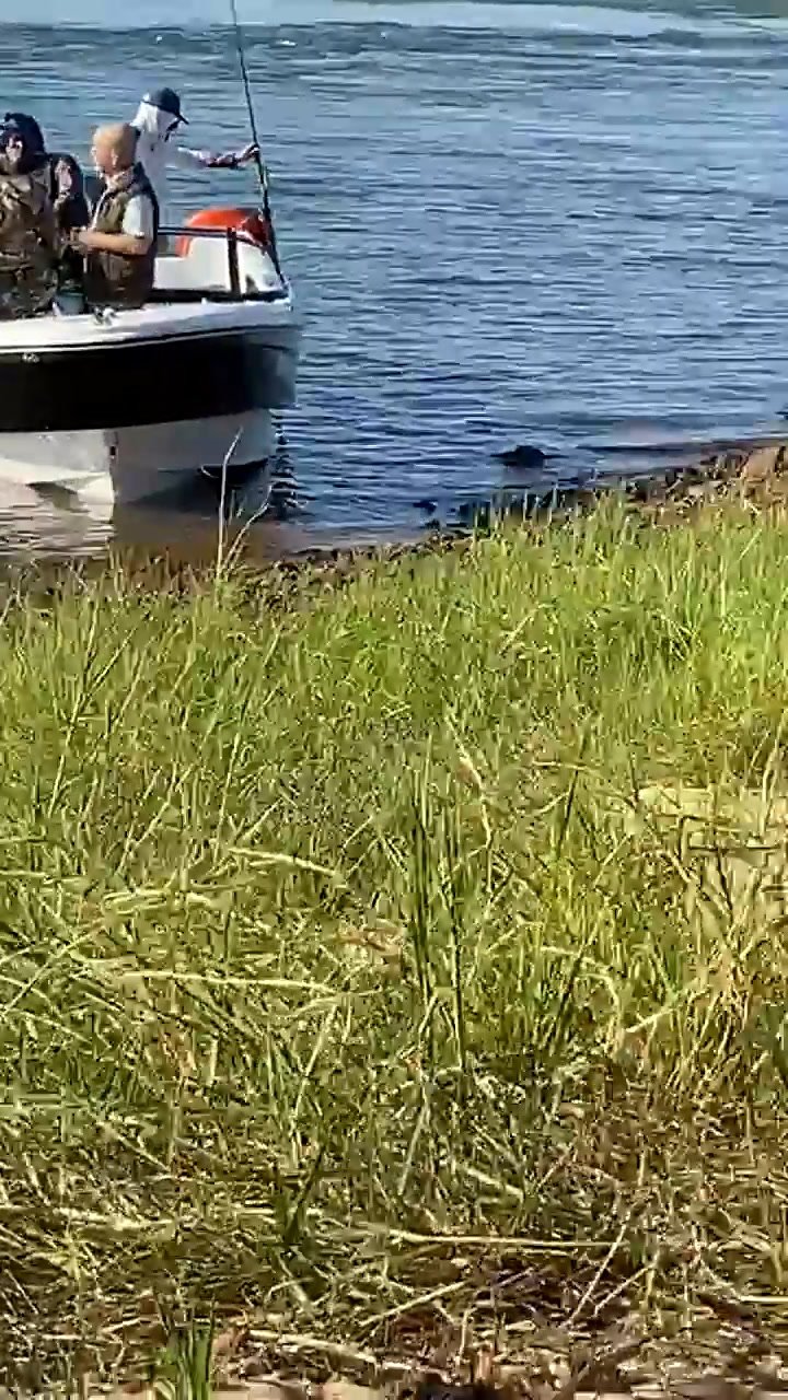 El video que muestra que los pescadores efectivamente se encontraban en territorio argentino