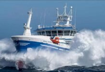 Tragedia cerca de Malvinas: un barco pesquero se hundió, ocho tripulantes murieron e intentan rescatar al resto