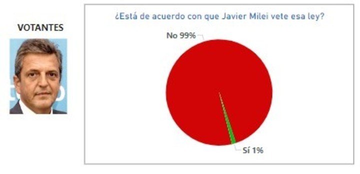 La encuesta de la UBA que preguntó por el veto a la reforma jubilatoria. Los resultados entre los votantes de Massa en el balotaje.