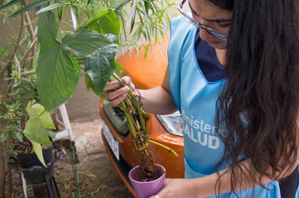 Dengue Gobierno de la Provincia de Córdoba