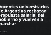Docentes universitarios de Argentina rechazan propuesta salarial del Gobierno y vuelven a marchar