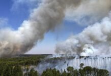 Lula dice que la UE «amenaza» con poner los incendios en la mesa de negociación sobre el Mercosur