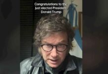 Javier Milei le dedicó un video en TikTok a Donald Trump por su victoria en Estados Unidos: Sabemos que podemos contar con usted