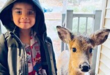 Niño de 8 años entrega su patineta para rescatar un gatito que estaba siendo maltratado