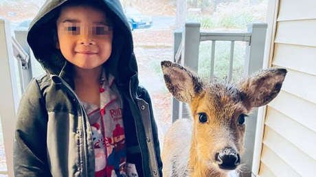 Niño de cuatro años sale a pasear y regresa con un venado como mascota