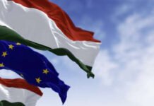 Rival político de Orbán pide elecciones anticipadas en Hungría