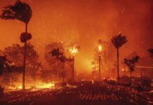 Surge nueva hipótesis sobre la causa de los incendios en California