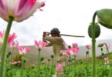 Demócratas buscan parar el «completamente ilegal» cierre de la USAID