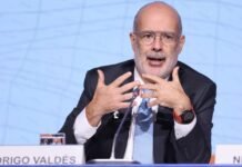 El FMI «le hace caso» a Milei y corre al chileno Rodrigo Valdés de la dirección para América Latina