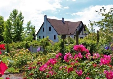 Los trucos caseros de mi madre para terminar con las hormigas del jardín y la terraza