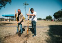En la Semana del Árbol, la Municipalidad sumó 600 ejemplares nativos a las calles de la ciudad