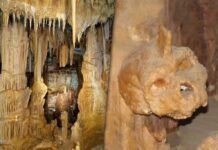 Encuentran un cráneo de 300.000 años en Grecia que no es humano ni neandertal