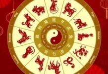 Horóscopo chino: los signos que vivirán grandes cambios y transformaciones