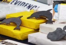 La marca del delfín: la huella de un imperio narco que sigue operando desde las sombras