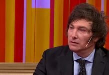 ¿Pato rengo?: qué dicen las últimas encuestas sobre Milei a un mes de las elecciones