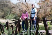 Día de los Jardines Botánicos: actividades para infancias, venta de plantas y música en vivo