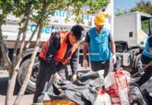 Operativo ambiental de prevención del Dengue: cronograma de la semana