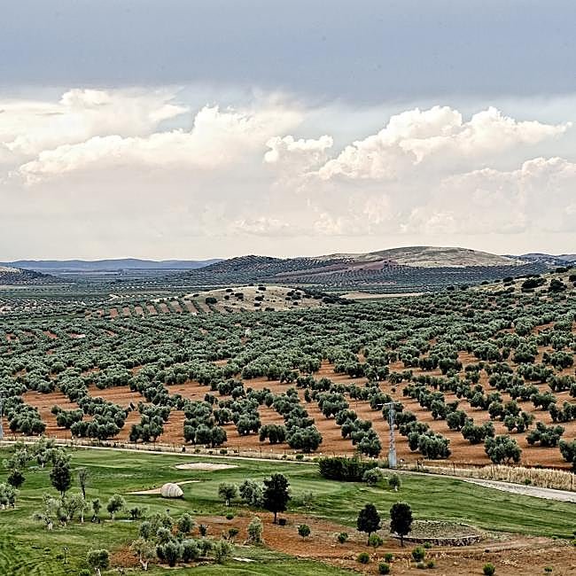 Paisaje desde La Caminera, Ciudad Real