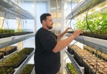 Gen Nativo: Cómo funciona el multiplicador de árboles para forestar campos cordobeses