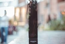 Premios CEIyA: Conocé a los DJs y productores de la escena electrónica cordobesa nominados