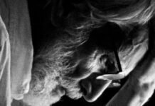 Crítica de «Cuando lleguemos al claro»: Márton Tarkövi y el arte del detalle íntimo