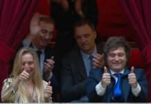 Desde el palco, Javier Milei siguió la jura de diputados en el Congreso