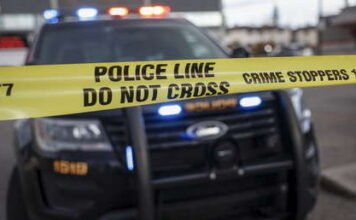 Hombre intenta raptar a un niño de 2 años en un parque infantil, pero su hermano mayor lo impide