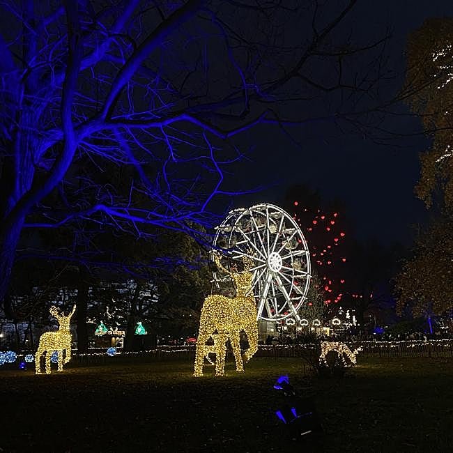 Christkindlmarkt Rathausplatz de Viena