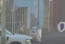 Rompió una vidriera con un hierro y fue detenido en Villa Azalaiz