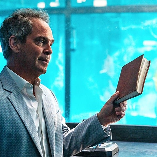 Tom Hollander interpreta a Cameron Beck, un empresario carismático que contrata a Iris para que le ayude a descrifrar un misterioso código.