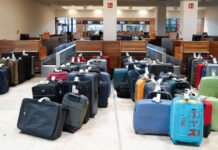 Una turista es detenida en un aeropuerto cuando regresaba de Asia con vino de serpiente