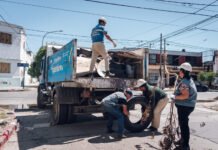 El Operativo de Ordenamiento Ambiental recorrerá los barrios IPV Argüello, Santa Isabel 2da Sección, Ipona, Mariano Fragueiro y San Vicente