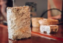 Con micelio de hongos y cartón reciclado reemplazan el uso de telgopor y espumas poluretánicas para producción de paneles aislantes que se utilizan en la construcción