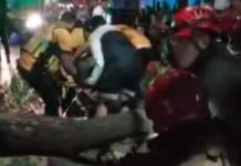 Dramático rescate en Nueva Córdoba: un árbol cayó sobre un repartidor