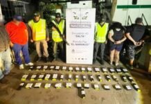 Hallan 34 kilos de cocaína ocultos en el tablero de un auto