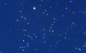 Por qué caminar ayuda a aliviar el dolor de espalda y mejorar postura a los 50