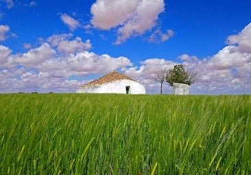 La ciudad de Castilla La Mancha que crece bajo tierra: edificios únicos que definen el paisaje y una historia ligada al vino