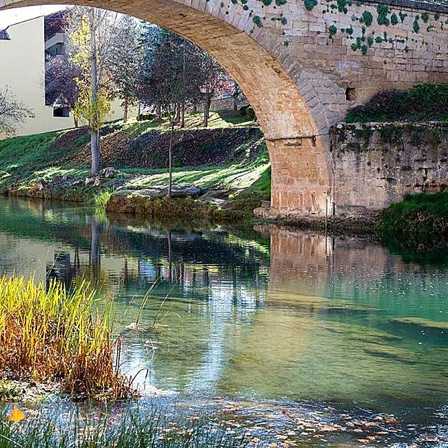 Puente sobre el Tajo, Trillo