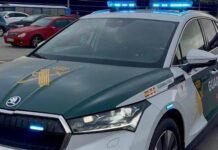 Encuentran un cadáver en una finca de olivar en Lucena