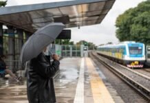 Se postergó el regreso del servicio completo del tren Mitre: los motivos y cuándo volverá