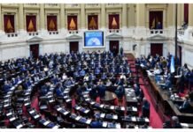 Azotes, carnet para mochileros o matrículas para palomas mensajeras: las leyes curiosas e insólitas que busca eliminar la Ley de Hojarascas