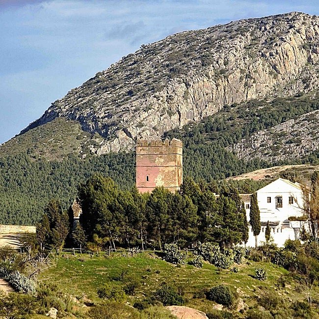 La torre de Ortegícar, a la que se llega desde Cañete por una cómoda ruta de senderismo.