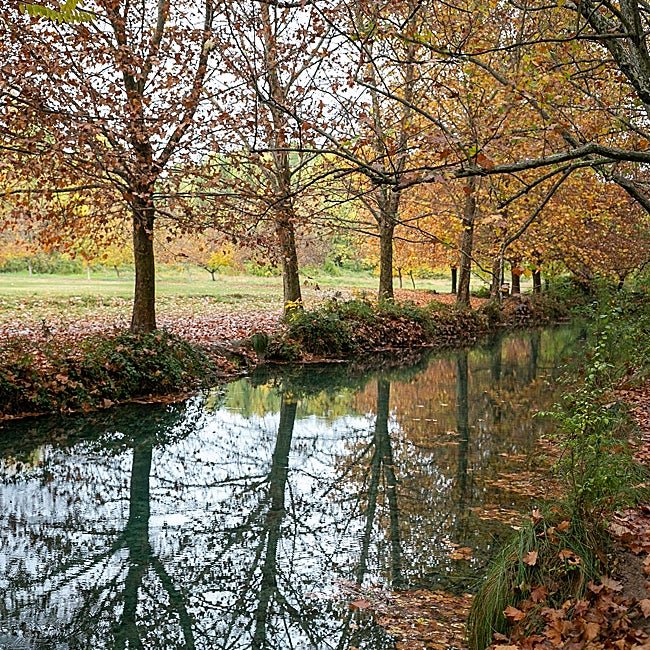 Las Fuentes del Marqués es un parque natural muy cerca del casco urbano.