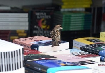 Las grandes apuestas de Alina Zarekaite, de la librería La Fabulosa, para la Feria del Libro de Madrid 2026