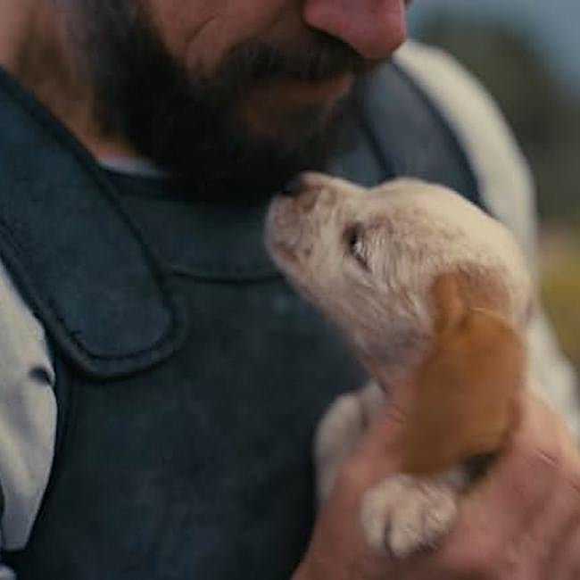 Fotograma de La Odisea con Matt Damon sosteniendo el cachorro que hace las veces de Argos.