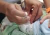 Nirsevimab gratis en vacunatorios provinciales: quiénes pueden recibirlo en Córdoba